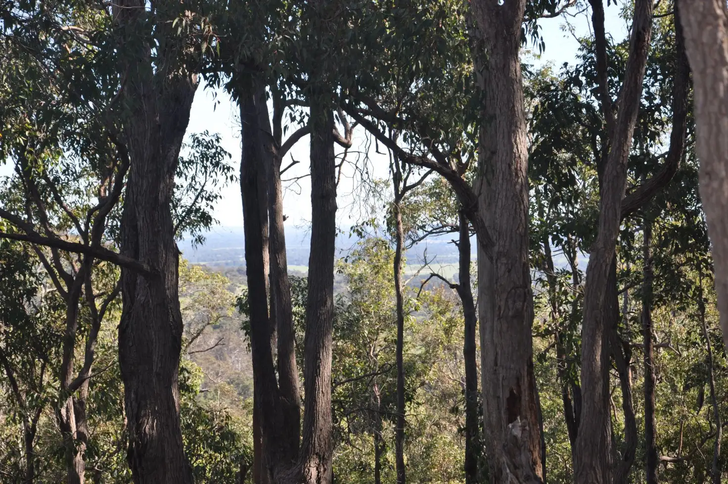 Main view of Homely land listing, 10 Raven Retreat, North Dandalup WA 6207