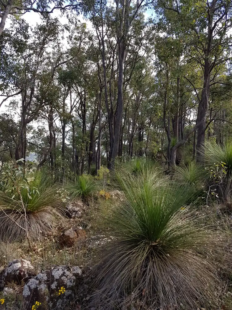 Fifth view of Homely land listing, 10 Raven Retreat, North Dandalup WA 6207