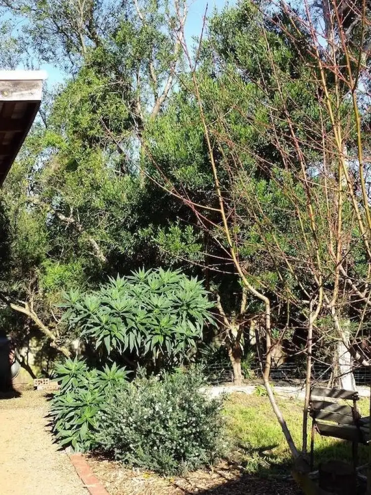 Sixth view of Homely house listing, 29 Helen Street, Cowes VIC 3922