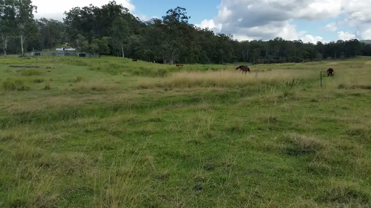 Third view of Homely rural property listing, 1159 Mount Marsh Road, Whiporie NSW 2469