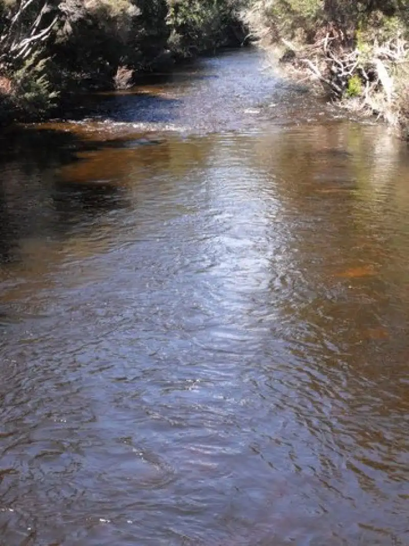 Main view of Homely rural property listing, 1494 Upper Esk Rd, Upper Esk TAS 7214