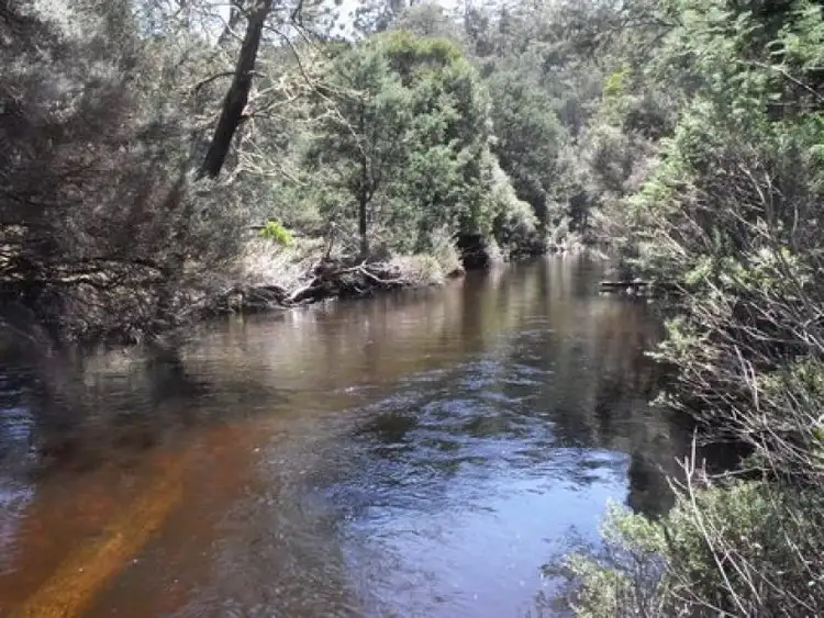 Fifth view of Homely rural property listing, 1494 Upper Esk Rd, Upper Esk TAS 7214