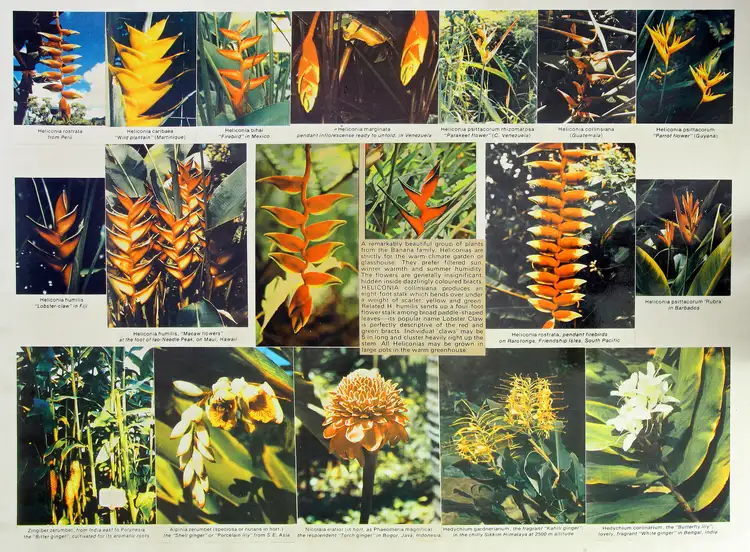 Third view of Homely rural property listing, 14 Gilward Drive, Mudgeeraba QLD 4213