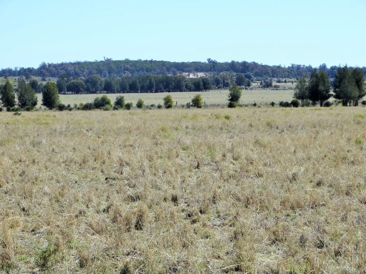 Main view of Homely rural property listing, Woodvale 2083 B Tennysons Road, Chinchilla QLD 4413