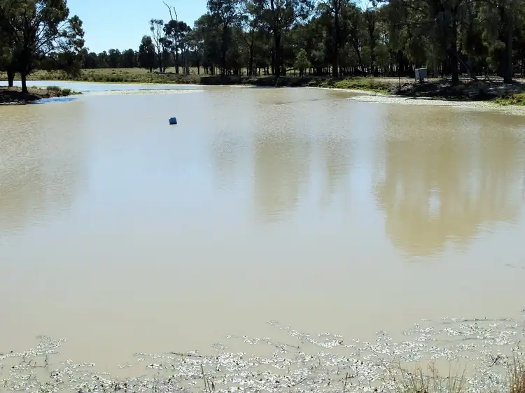 Second view of Homely rural property listing, Woodvale 2083 B Tennysons Road, Chinchilla QLD 4413