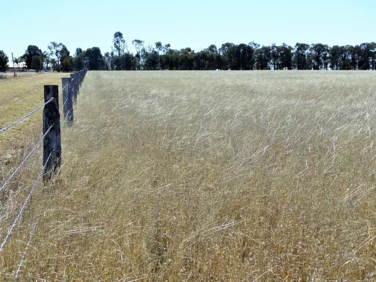 Fifth view of Homely rural property listing, Woodvale 2083 B Tennysons Road, Chinchilla QLD 4413