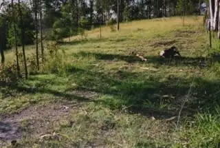 Third view of Homely land listing, 111 North Deep Creek Road, North Deep Creek QLD 4570