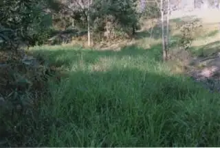 Seventh view of Homely land listing, 111 North Deep Creek Road, North Deep Creek QLD 4570