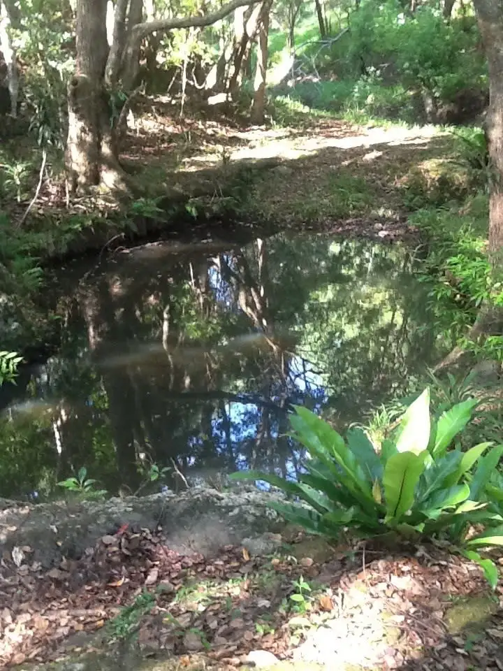 Second view of Homely land listing, 8 Tallowood Terrace, Currumbin Valley QLD 4223