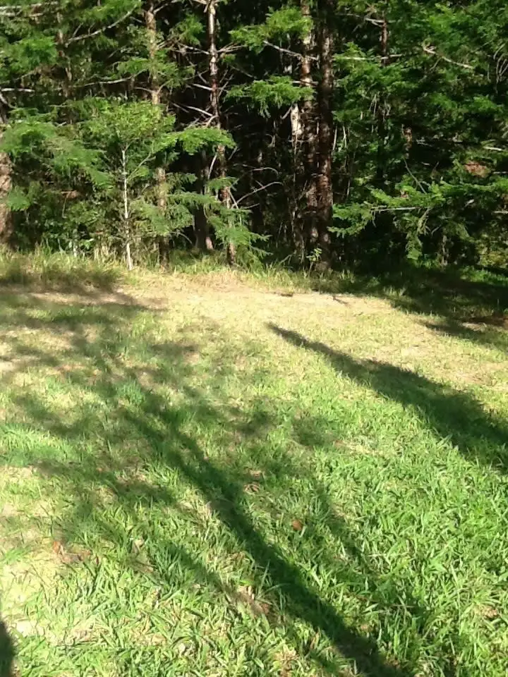 Fourth view of Homely land listing, 8 Tallowood Terrace, Currumbin Valley QLD 4223