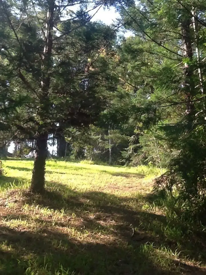 Fifth view of Homely land listing, 8 Tallowood Terrace, Currumbin Valley QLD 4223