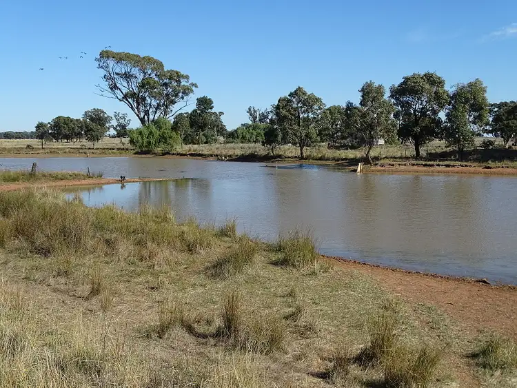 Fourth view of Homely rural property listing, - Jungle Park, Tullamore NSW 2874