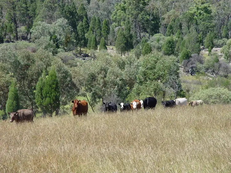 Second view of Homely land listing, Address available on request