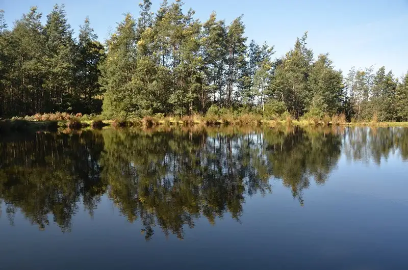 Main view of Homely land listing, 366 Arve Road, Geeveston TAS 7116