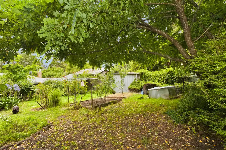 Seventh view of Homely house listing, 8 Hennigan Crescent, Forrest VIC 3236