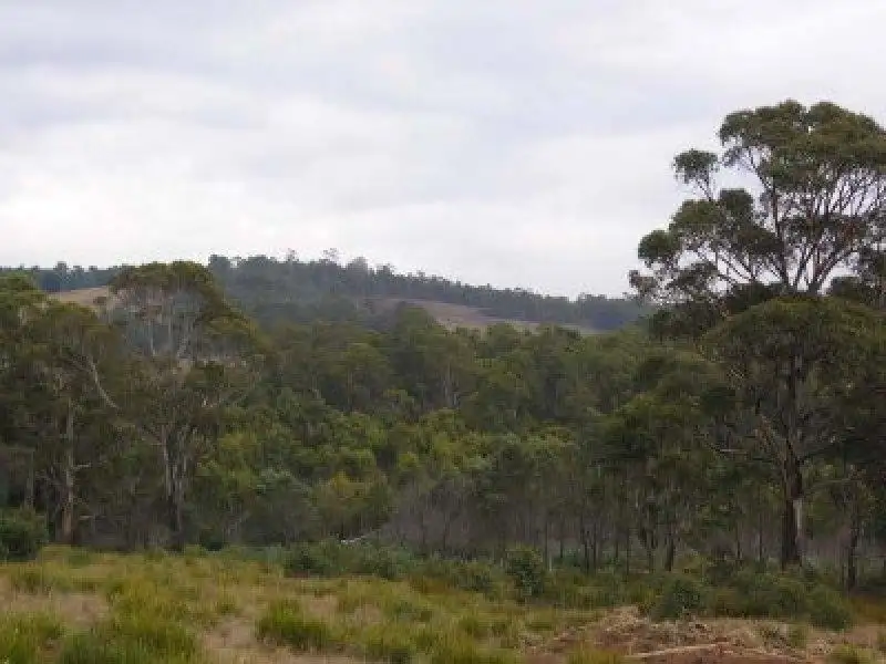 Main view of Homely land listing, Lot 1 Whites Road, Uxbridge TAS 7140