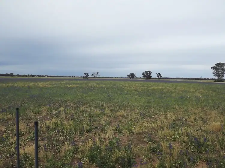 Sixth view of Homely rural property listing, Address available on request