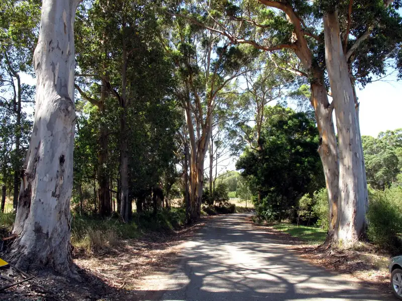 Main view of Homely house listing, 12 Riverbend Lane, Denmark WA 6333