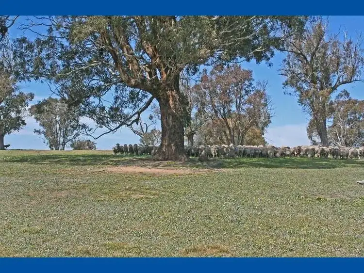 Fourth view of Homely rural property listing, Address available on request