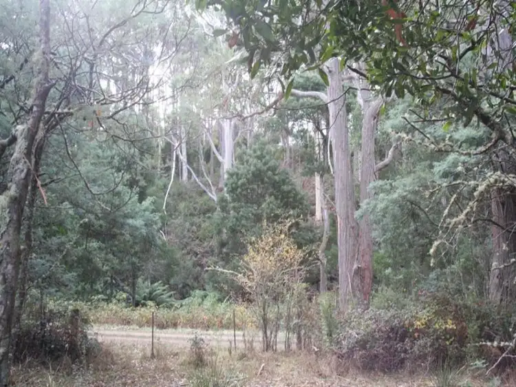 Third view of Homely land listing, Lot 4 Holmes Road, Ellendale TAS 7140