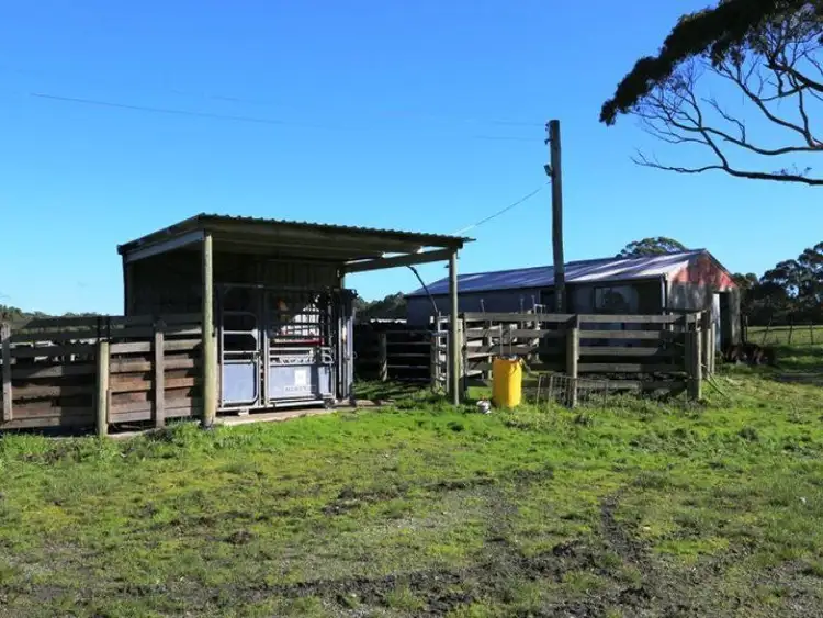 Third view of Homely rural property listing, 39 Cnr Wilson's Roads & Quilliams Roads, Montagu TAS 7330