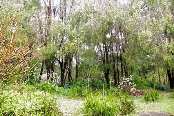 Seventh view of Homely house listing, 9 Nockolds Place, Denmark WA 6333