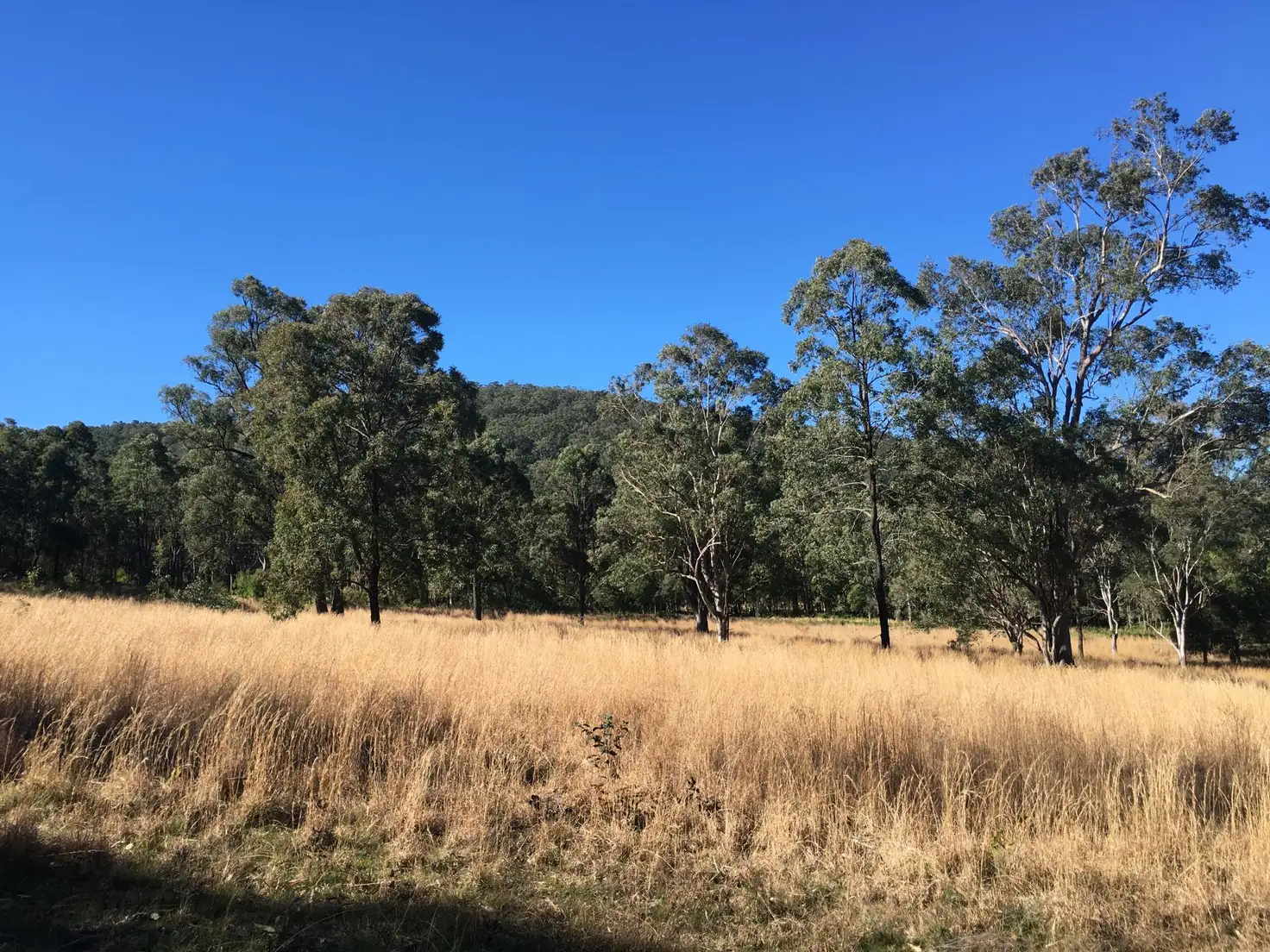 Main view of Homely rural property listing, 268 Six Mile Rd, Eagleton NSW 2324