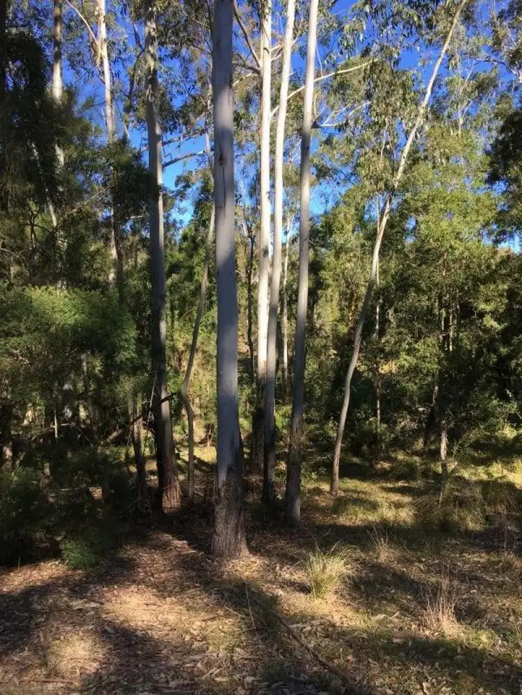 Third view of Homely rural property listing, 268 Six Mile Rd, Eagleton NSW 2324
