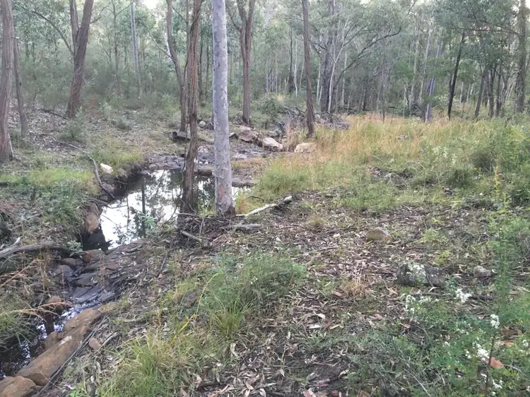 Fifth view of Homely rural property listing, 268 Six Mile Rd, Eagleton NSW 2324