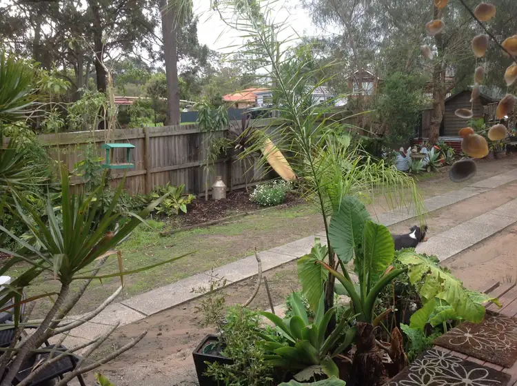 Sixth view of Homely house listing, 49 Warnervale Road, Warnervale NSW 2259