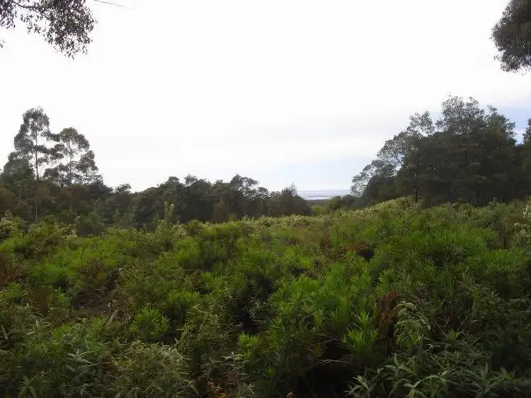 Lot 1 Elephant Pass Road, St Marys TAS 7215
