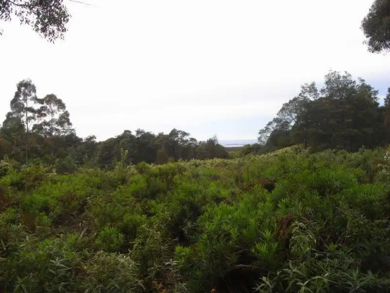 Main view of Homely land listing, Lot 1 Elephant Pass Road, St Marys TAS 7215