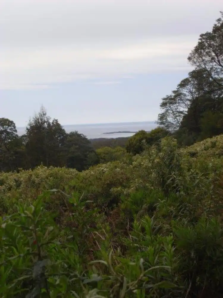 Second view of Homely land listing, Lot 1 Elephant Pass Road, St Marys TAS 7215