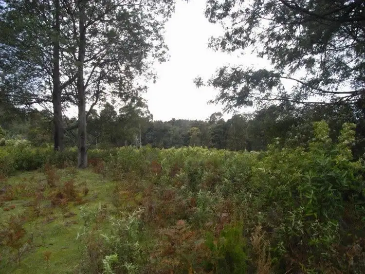 Fifth view of Homely land listing, Lot 1 Elephant Pass Road, St Marys TAS 7215