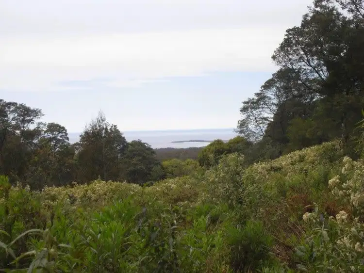 Seventh view of Homely land listing, Lot 1 Elephant Pass Road, St Marys TAS 7215