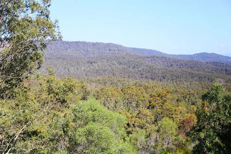 Fourth view of Homely land listing, 134-248 Mountain Scrub Rd, Tallegalla QLD 4340