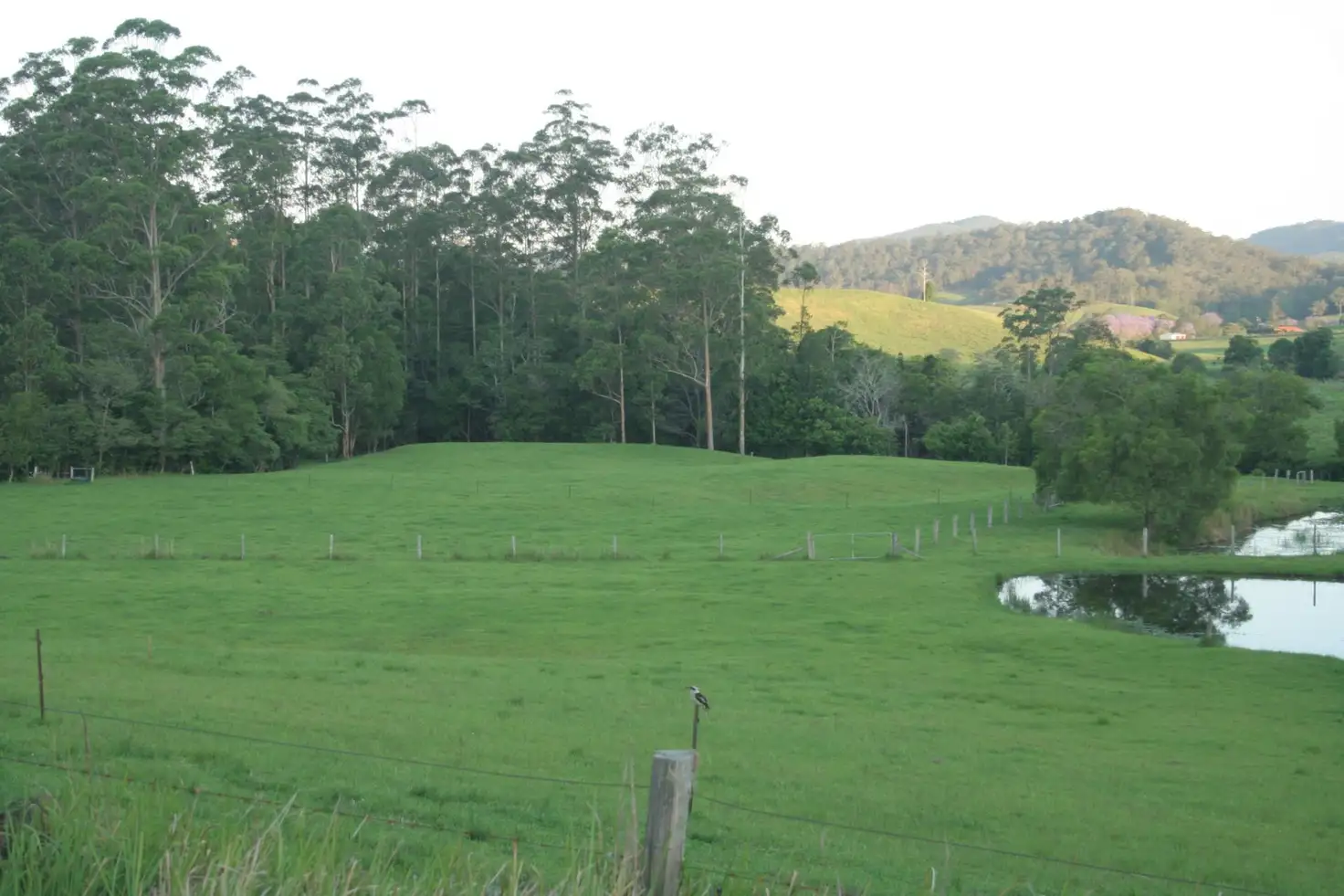 Main view of Homely rural property listing, 86 Butts Creek Rd, Taylors Arm NSW 2447