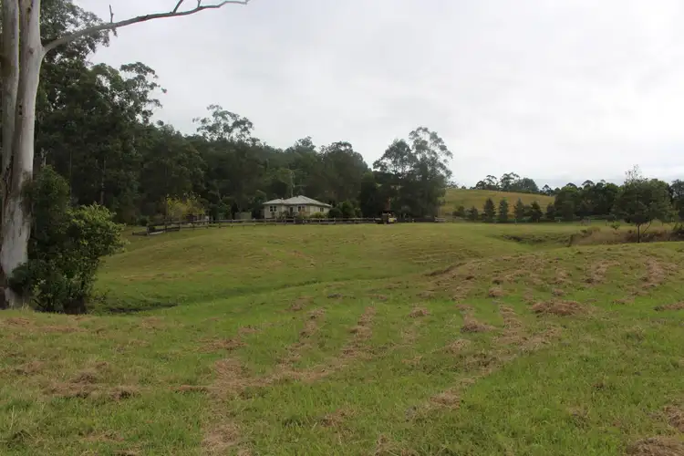 Second view of Homely rural property listing, 86 Butts Creek Rd, Taylors Arm NSW 2447