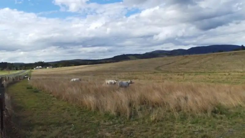 Main view of Homely land listing, 97 Yangan - Killarney Road, Killarney QLD 4373