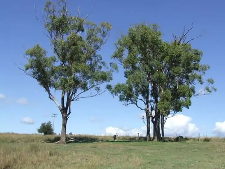 Seventh view of Homely land listing, 97 Yangan - Killarney Road, Killarney QLD 4373