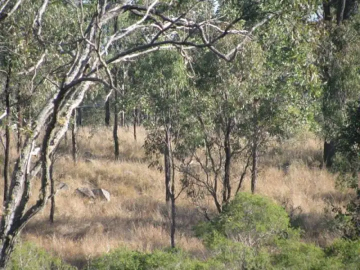 Second view of Homely land listing, Lot 11 Scott Close, Blackbutt QLD 4306
