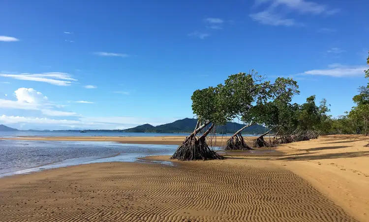 Third view of Homely house listing, 7 Bardon Close, Kurrimine Beach QLD 4871