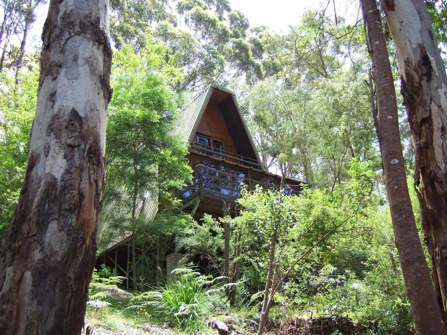 Main view of Homely house listing, 21 Payne Road, Denmark WA 6333