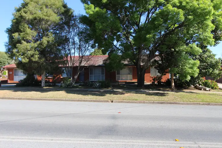 1-4/38 Raye Street, Tolland NSW 2650