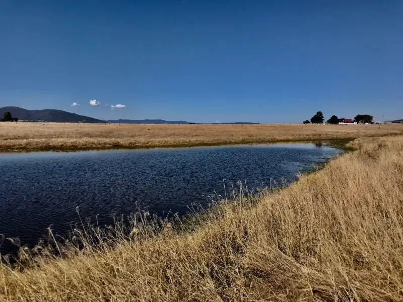 Main view of Homely house listing, 146 Lower Cressbrook Road, Cressbrook QLD 4313