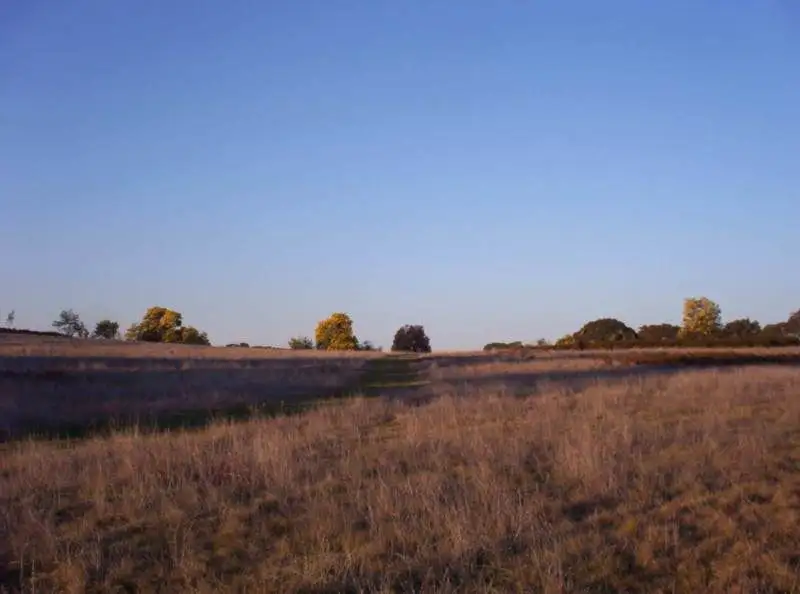Main view of Homely rural property listing, 196 Buntings Hill Rd, Ruffy VIC 3666