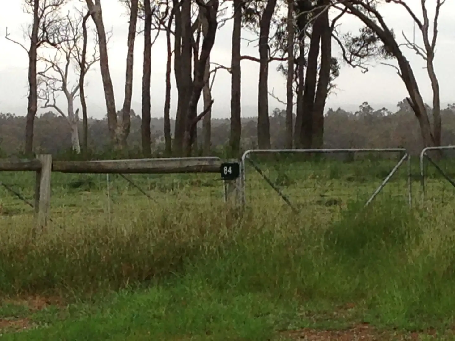 Main view of Homely rural property listing, 84 Maclean Close, Mount Barker WA 6324