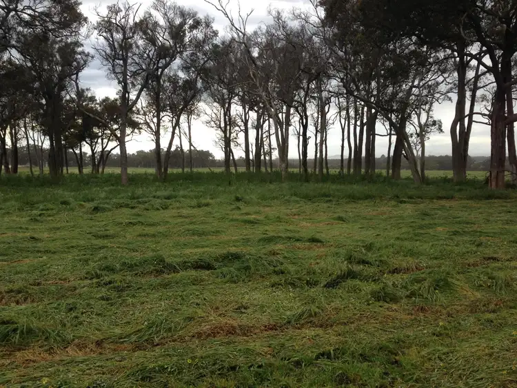 Second view of Homely rural property listing, 84 Maclean Close, Mount Barker WA 6324