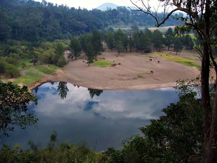 Seventh view of Homely rural property listing, Lot 2, 248 Callaghans Creek Road, Bundook NSW 2422