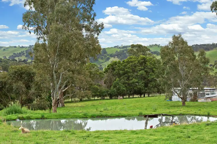 Fifth view of Homely house listing, 7 Romano Drive, Pyalong VIC 3521